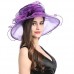 s Organza Church Wide Brim Fancy Tea Xmas Party Wedding Hats Purple Bow 759981209864 eb-37764320